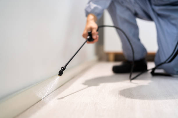 Certified termite inspector examining foundation in Lake Charles